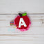 {Apple} Hair Clip