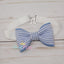 {Seersucker} BOYTIE in BLUE